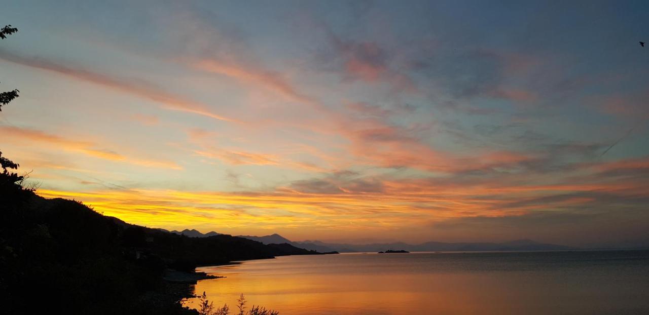 Rooms Lake View Balani Restaurant Shkodër Dış mekan fotoğraf